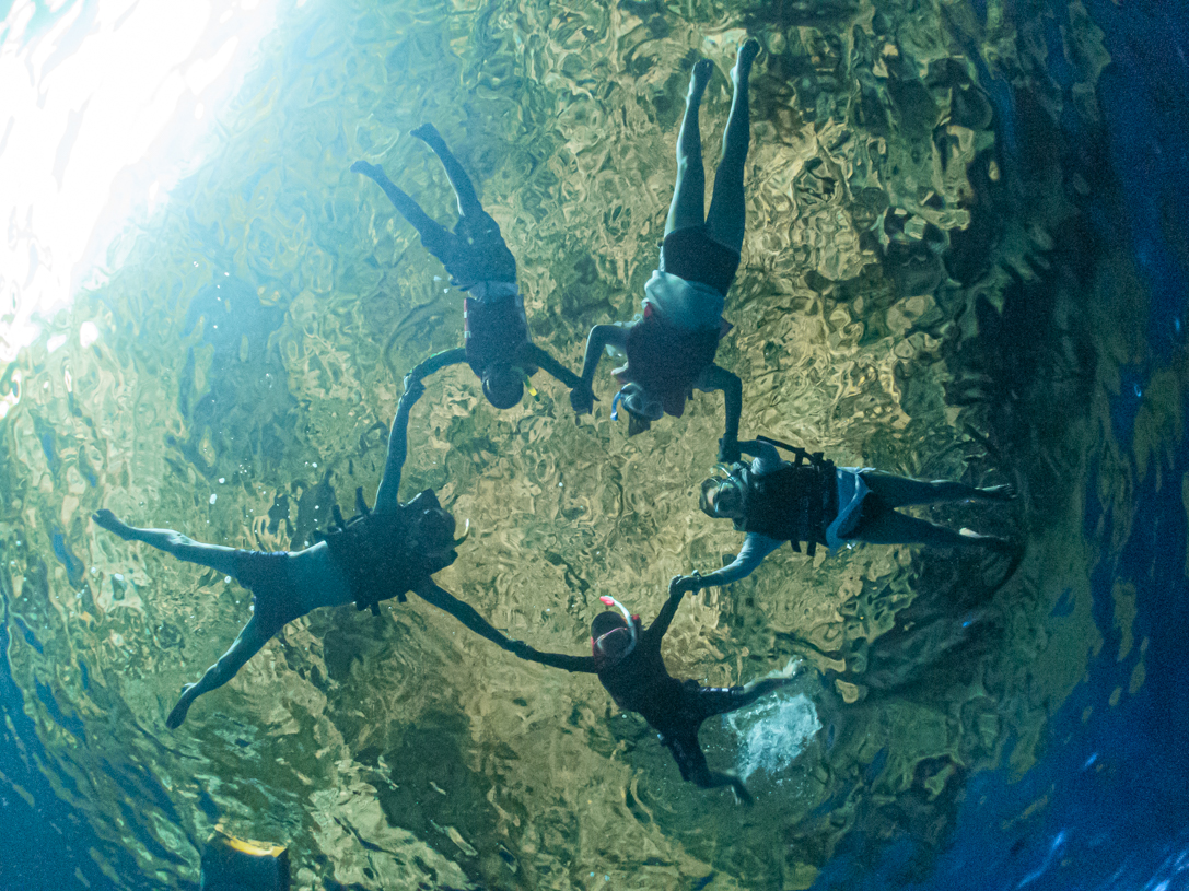 サイパンダイビング、元気！